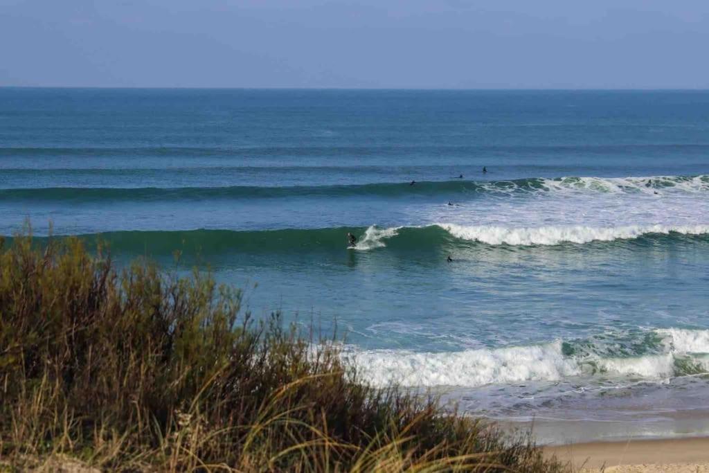Chez Floflo Villa Rion-Des-Landes Luaran gambar