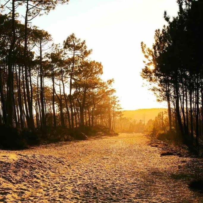 Chez Floflo Villa Rion-Des-Landes Luaran gambar
